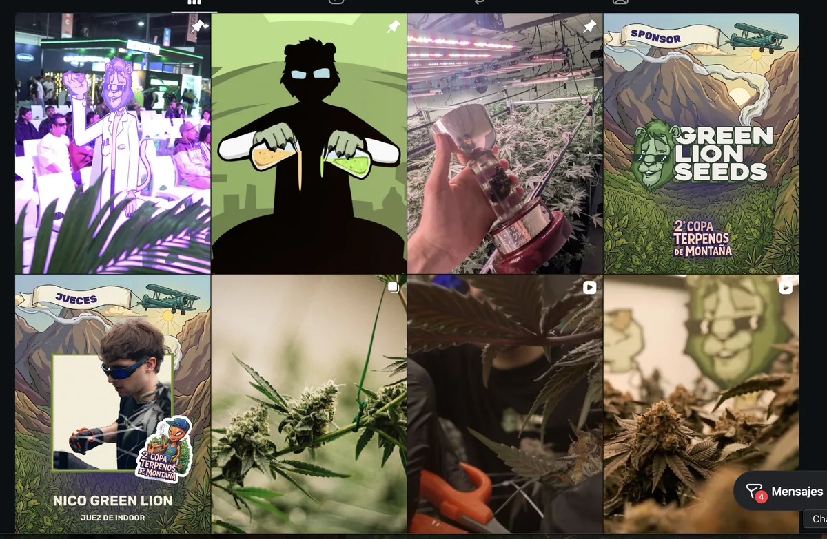 Publicaciones de Green Lion Seeds