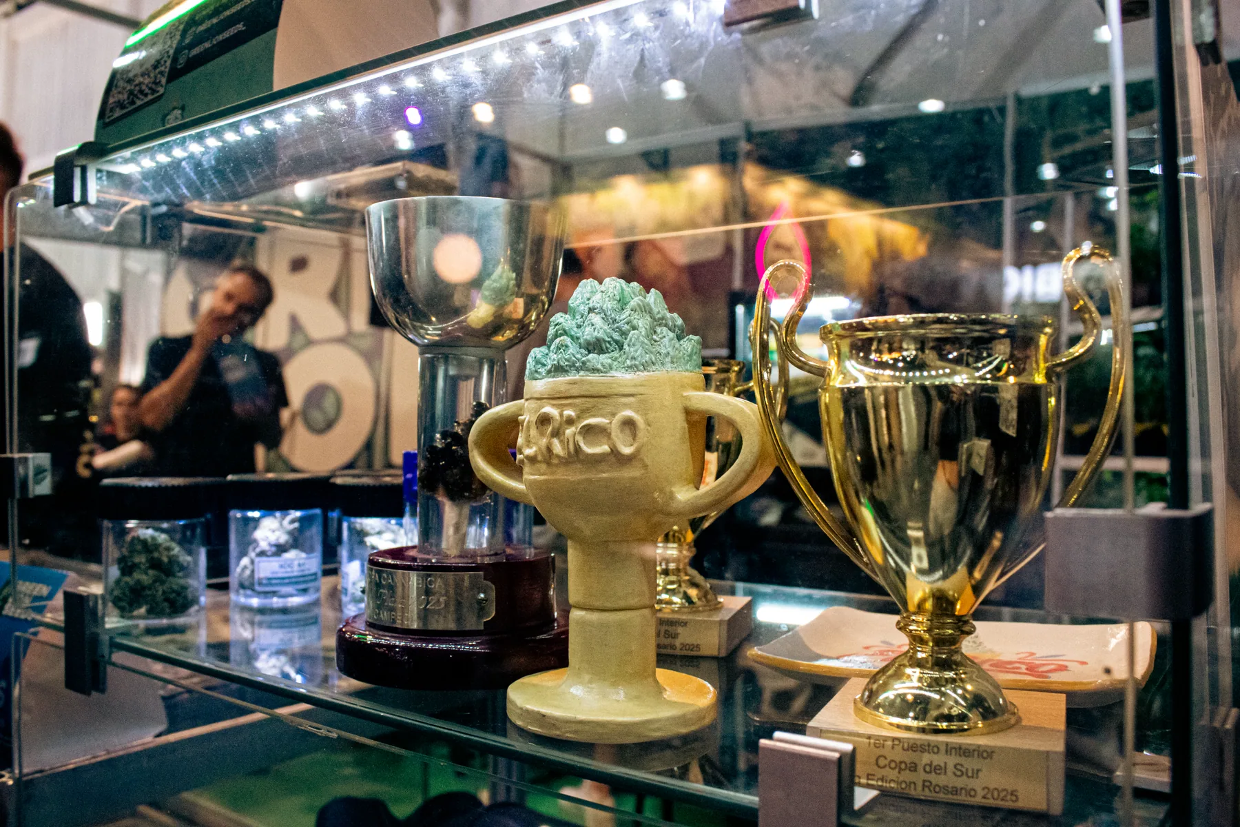 Trofeos y reconocimientos de Green Lion Seeds