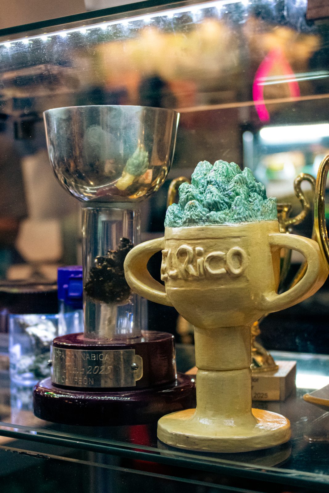 Trofeos de Green Lion Seeds en El Rico Cannabis Cup
