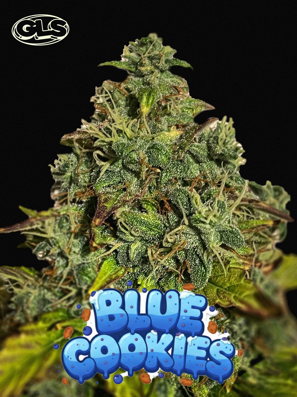 Blue Cookies