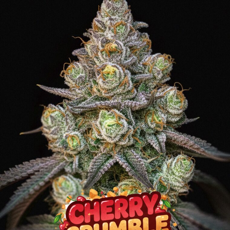 Cherry Crumble