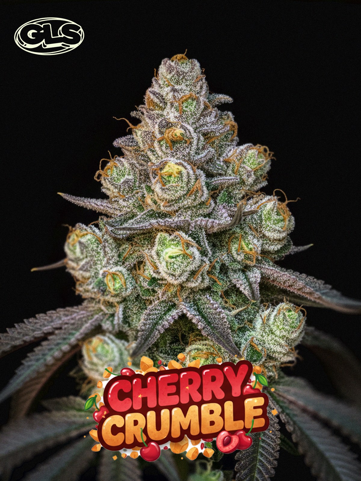 Cherry Crumble
