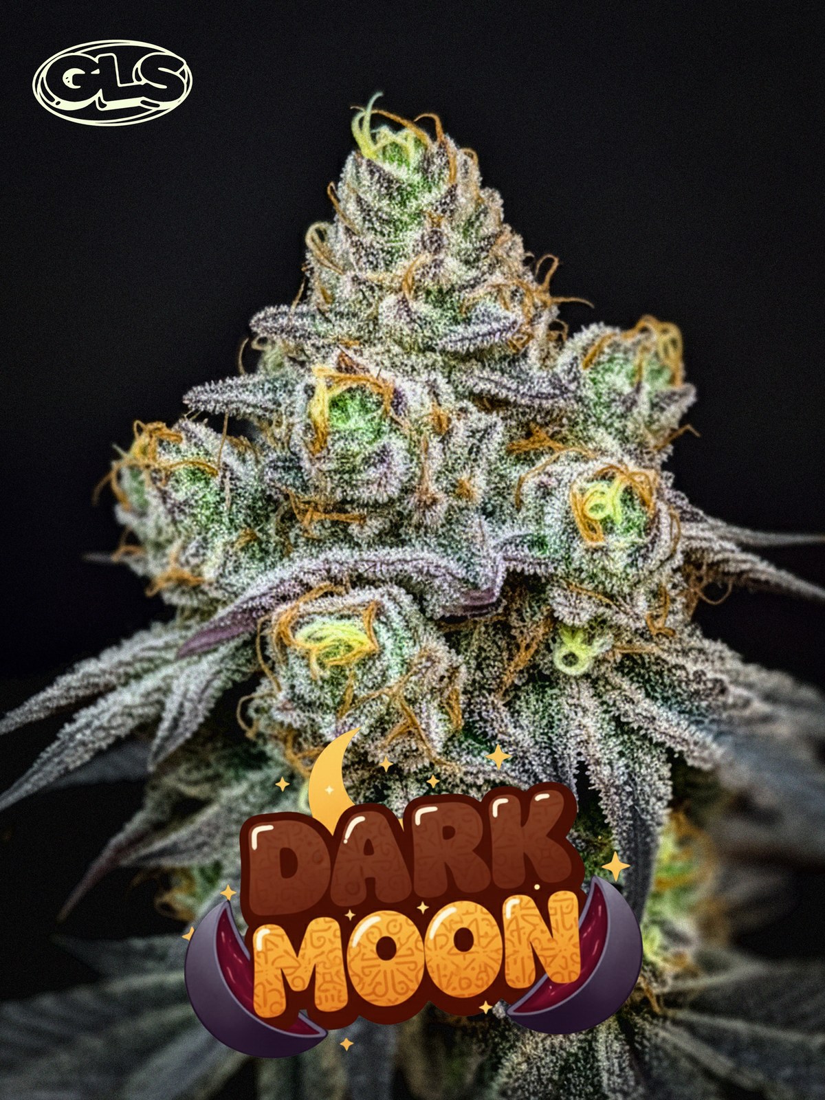 Dark Moon