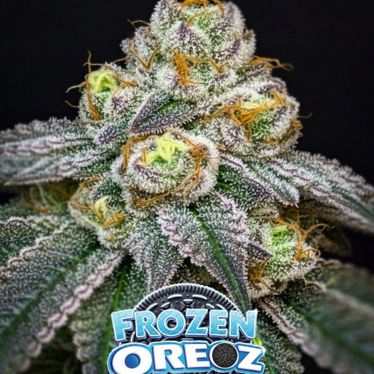 Frozen Oreoz