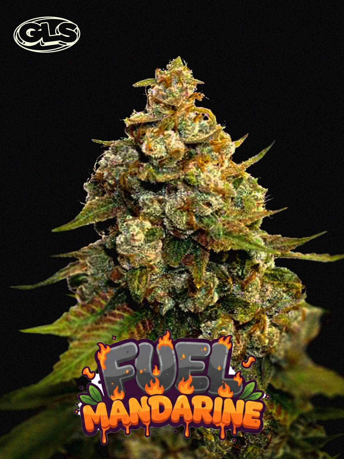 Fuel Mandarine