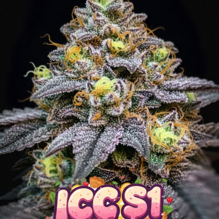 ICC S1