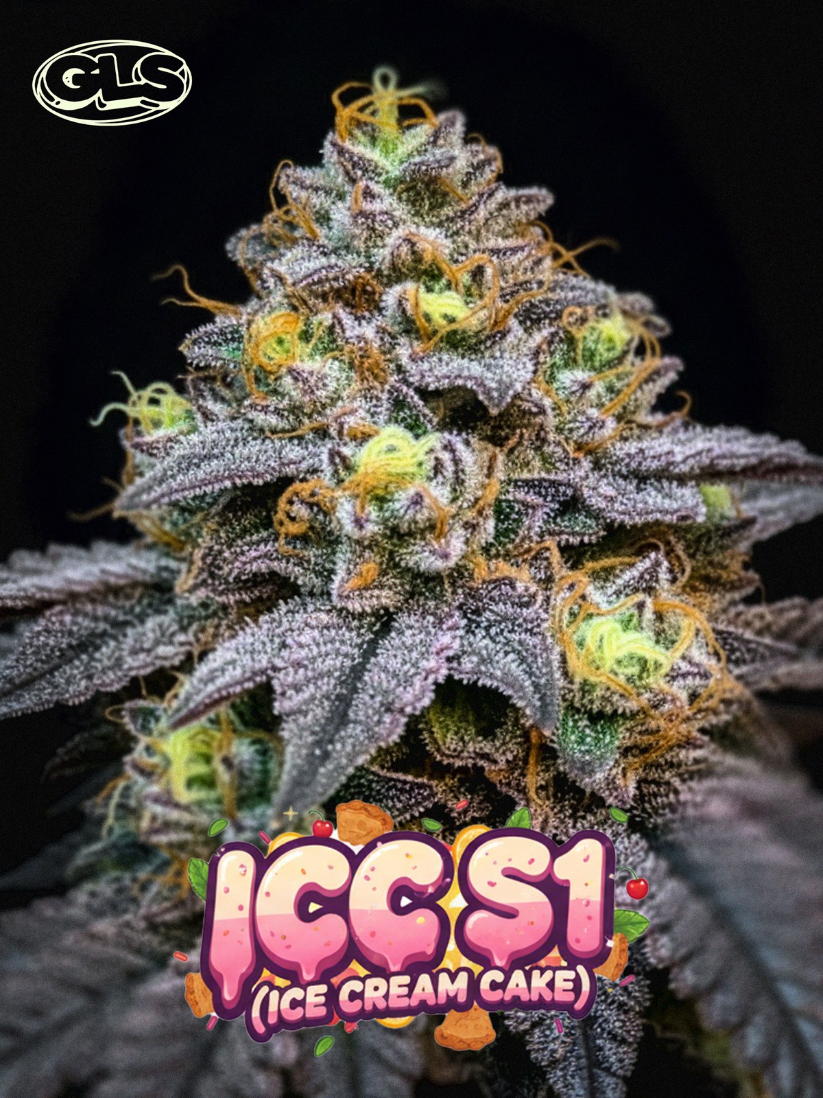 ICC S1