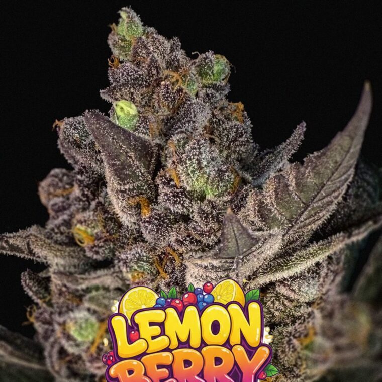 Lemon Berry