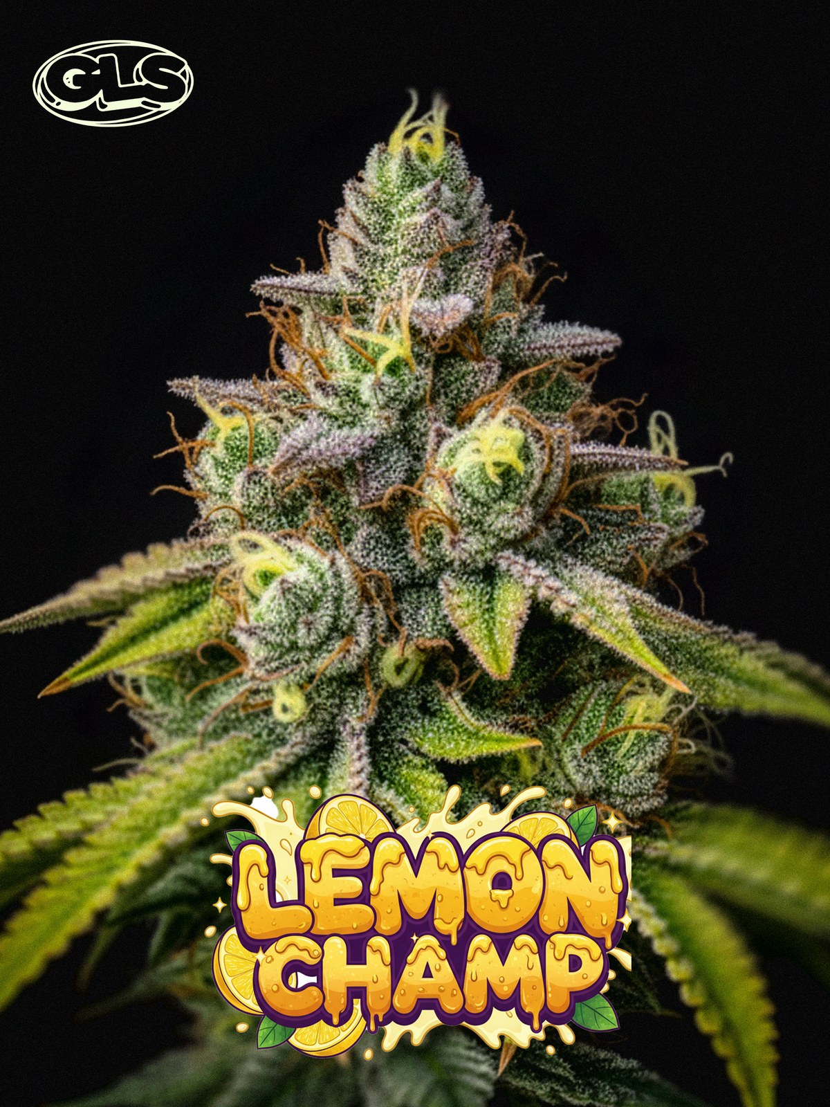 Lemon Champ