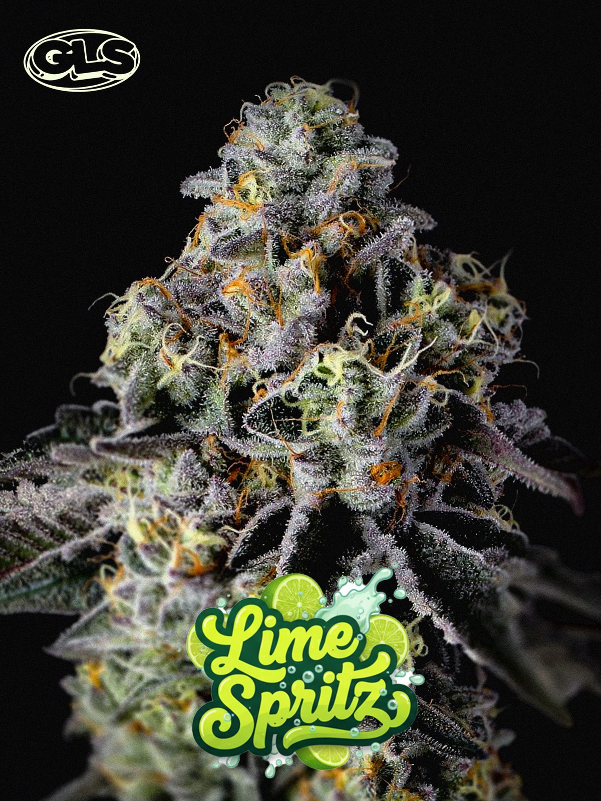 Lime Spritz