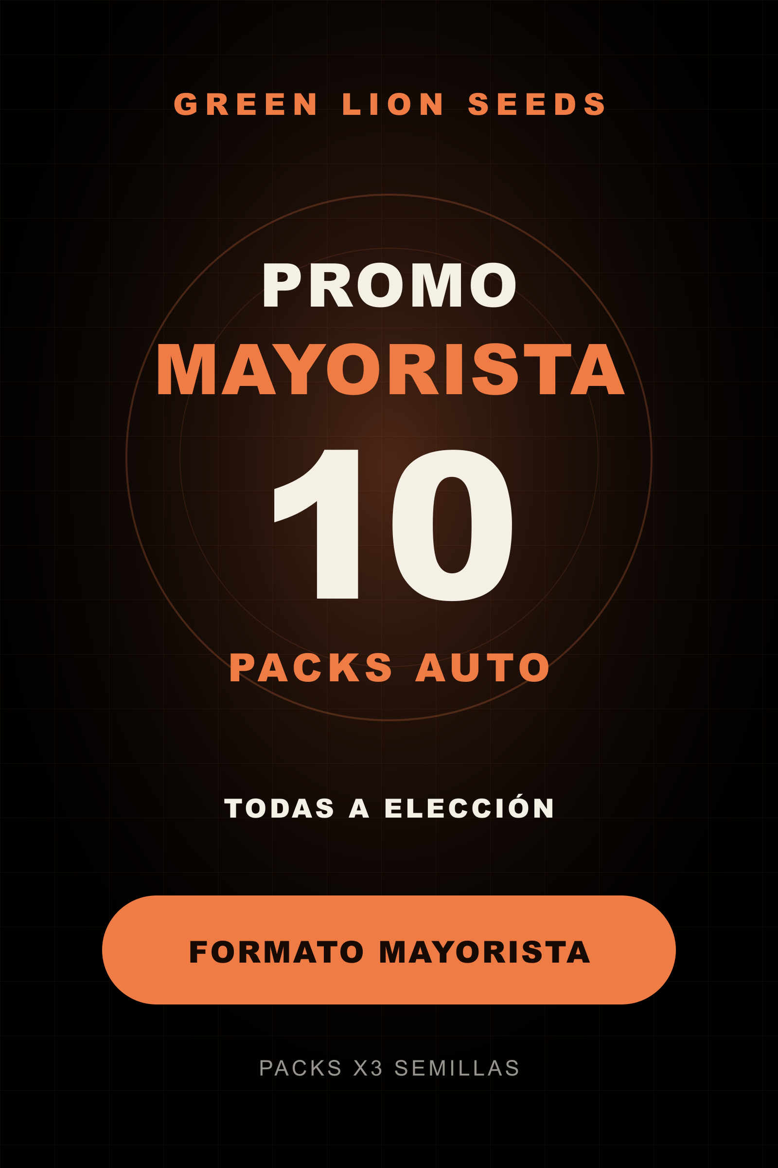 Promo Mayorista AUTO